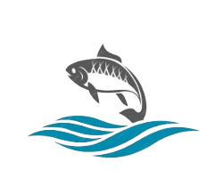 mahi